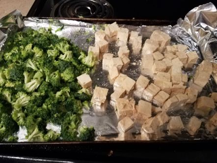 Tofu and Broccoli raw